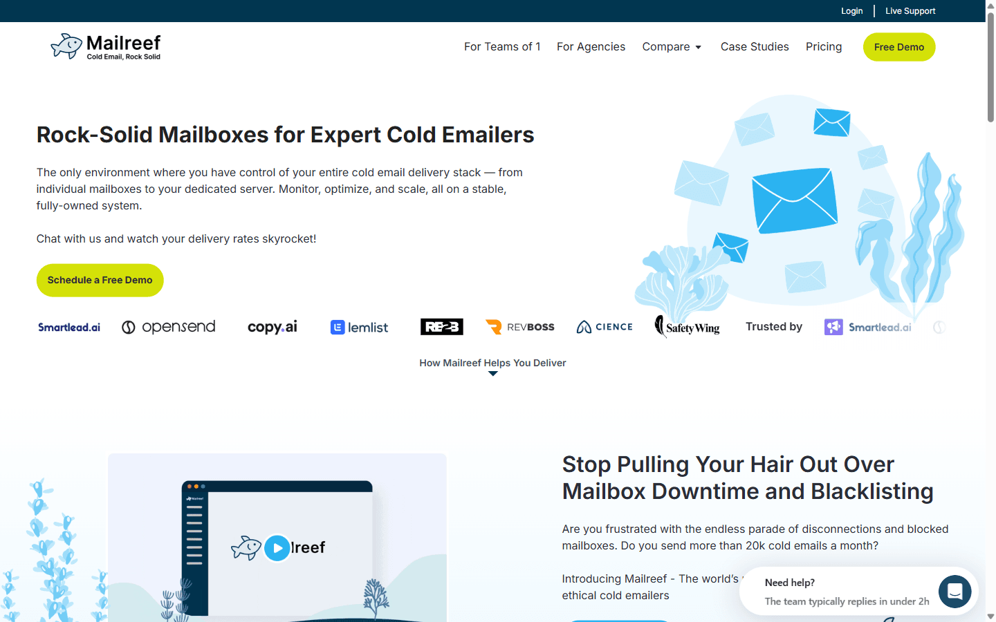 MailReef homepage showing dedicated SMTP cold email mailbox infrastructure